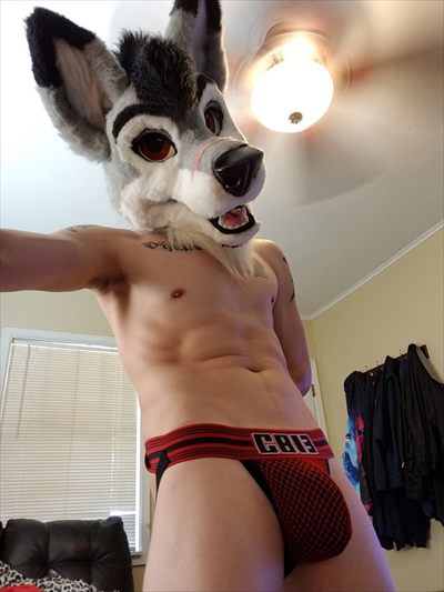 HavocStallion profile photo 2