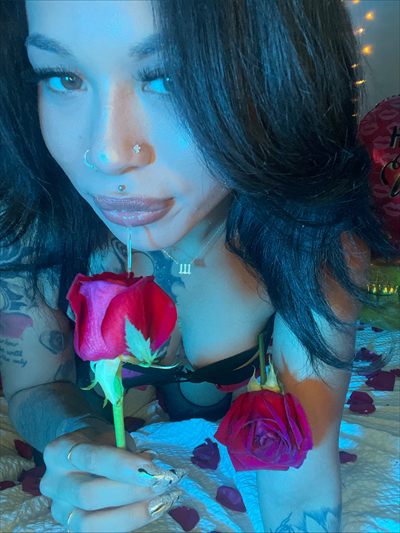 Heaven On Earth profile photo 2