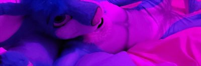 Frosti Buns profile photo 2