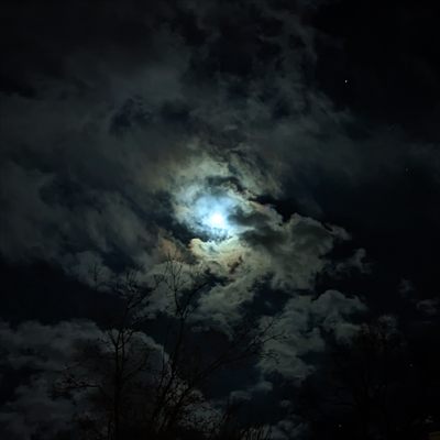 EmeryTate profile photo 2