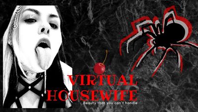 Virtual Housewife profile photo 2