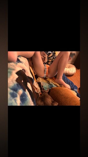 Personal_pup$lut_pyro profile photo 2