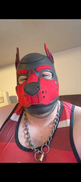 Ricco Tukii Wolf