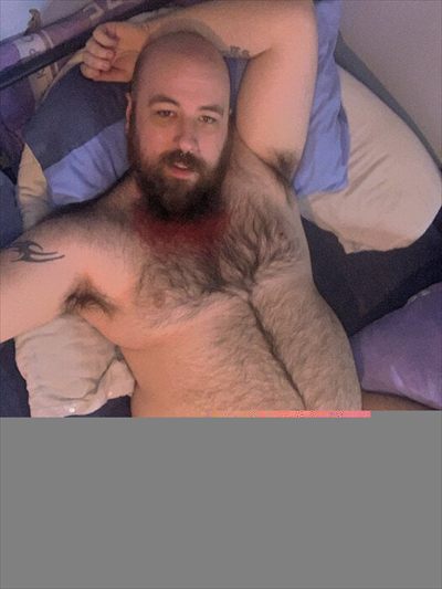 British_Bear69 profile photo 3