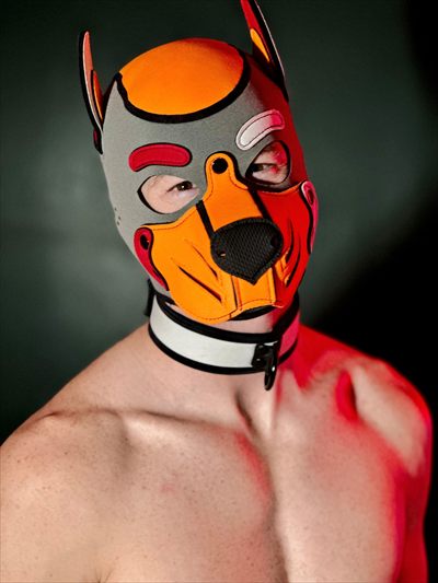 Sub Pup Kylo