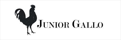 Junior Gallo 🇧🇷 profile photo 2