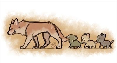 Little Wolf profile photo 2