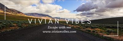 Vivian Vibes profile photo 2