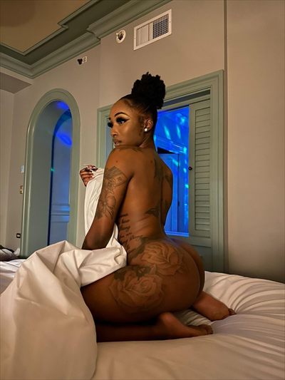 Exotic Dream
