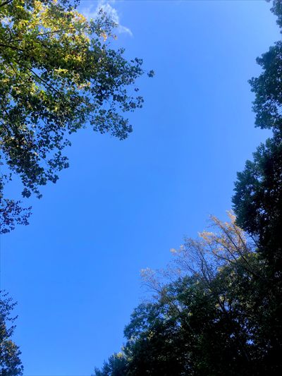 Summer🌞Skyler☁️ profile photo 2