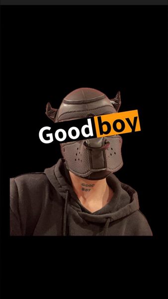 GOOD BOY profile photo 3