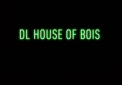 DLHouseOfBois profile photo 2