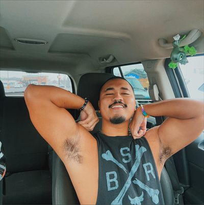 Dyko Dingo