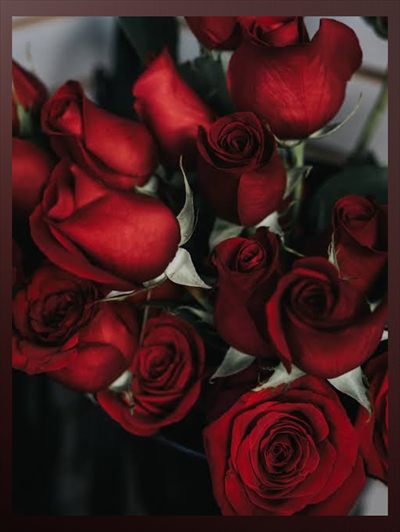 B E L L A B E L 🌹 profile photo 2