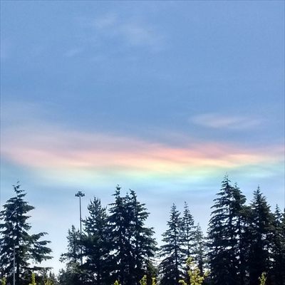 Virdenna profile photo 2