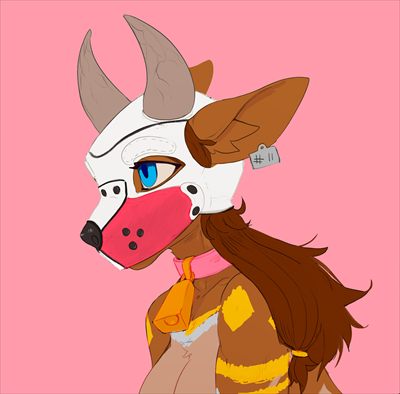 Momosnout🤍