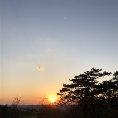 C profile photo 2