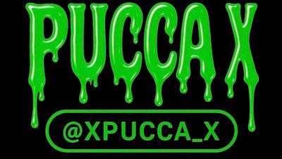 PUCCA X 🖤✅ profile photo 2