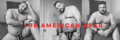 The American Bear profile photo 2