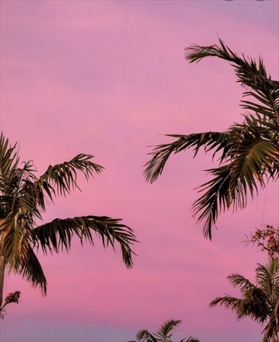 Sky profile photo 2