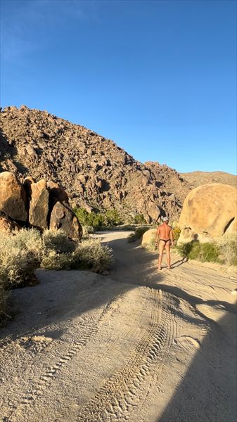 Nakedbicyclist profile photo 2