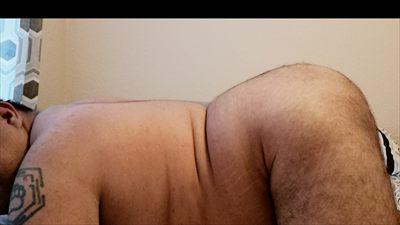 Bolo Cub profile photo 2