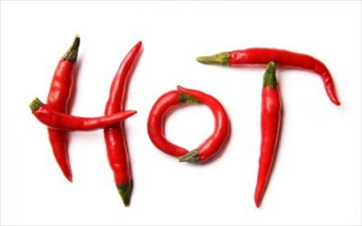 Theo Spicy 🌶 profile photo 2