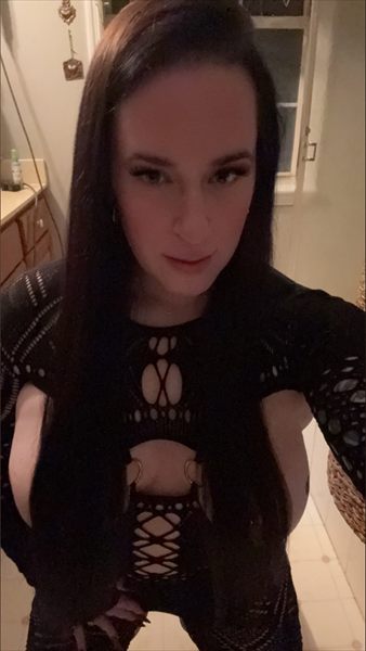 Taylor Rex