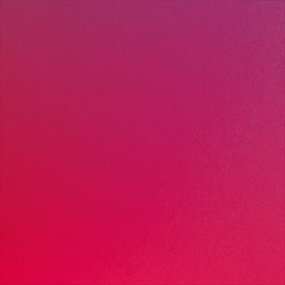 Ilsia profile photo 2