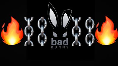 Play bunny profile photo 2