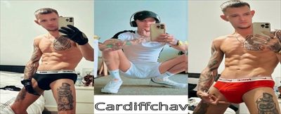 Cardiffchav profile photo 2
