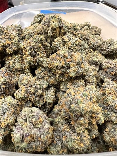 Indica profile photo 2