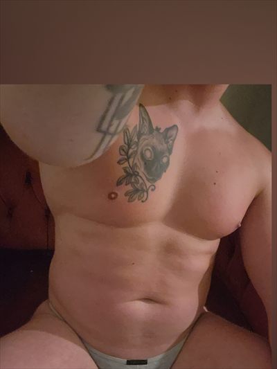 Theo Bradley profile photo 2