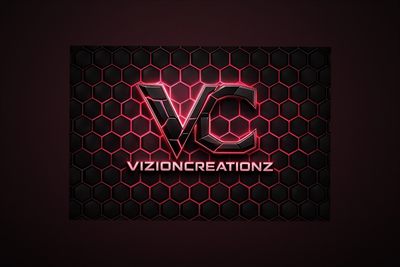 #teamvizion profile photo 2