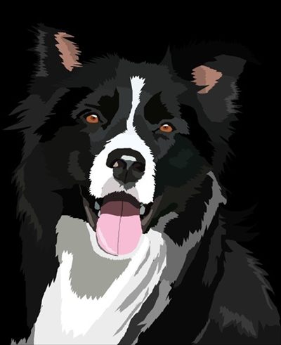 Ardora Sin profile photo 2