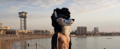 PalaceWolf profile photo 2