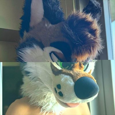 PalaceWolf profile photo 3