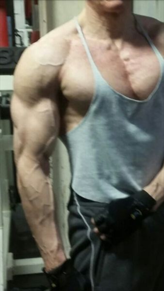 Vers Muscle Daddy