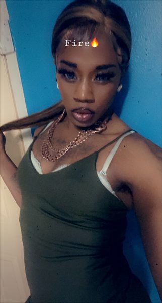 Jaz tigris dior