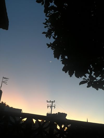 Sirla Bg profile photo 2
