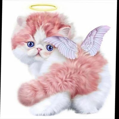 ♡ *･゜ﾟ･*