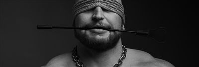 Bandit profile photo 2
