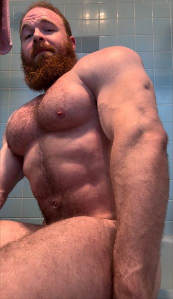 Pec_inspector
