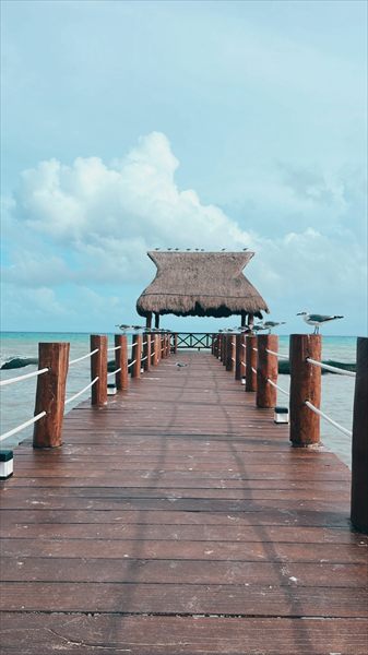 Solmar profile photo 2