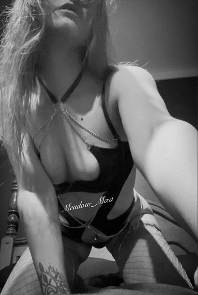 Meadow_ Mǣd