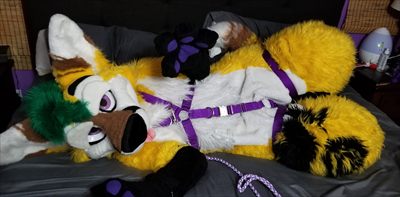 Pineapple Fox profile photo 2