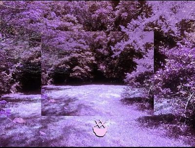 𝙎𝙠𝙚𝙡𝙡𝙮 𝘽𝙤𝙣𝙚𝙨