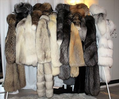Fur Mommy profile photo 2