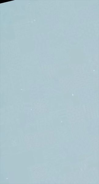 JessCDtx profile photo 2