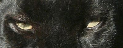 Diego Andrés🕷️ profile photo 2
